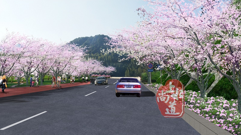 福建中國最長愛情櫻花隧道  ——福建龍巖永福櫻花長廊設(shè)計