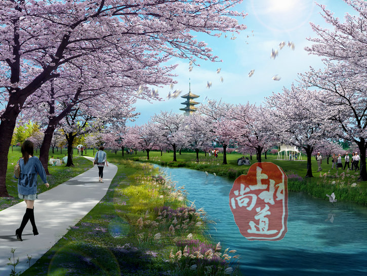 福建打造中國(guó)最美水上櫻花 ——湖北仙桃夢(mèng)里水鄉(xiāng)水上櫻花園