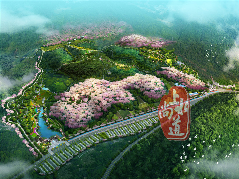 福建福建最美麗且煥發(fā)生機(jī)的田園綜合體 ——福建櫻花品種資源庫(kù)
